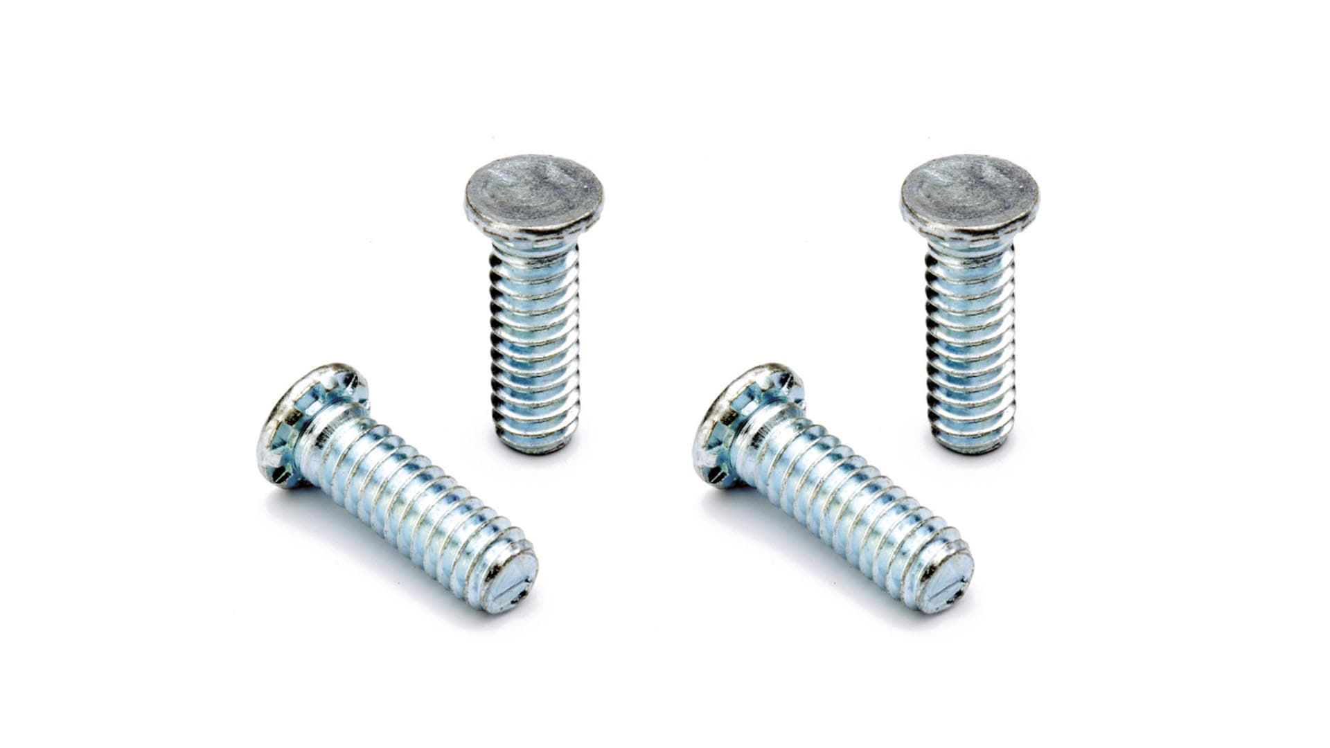 Clinch Screw